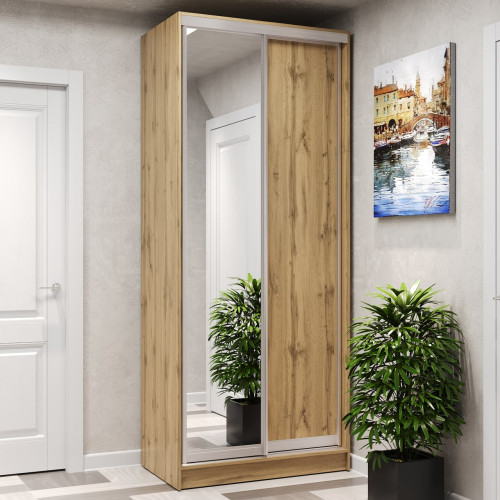 Шафа-купе 2-дверна 100x60x240 см Стандарт Дуб Аппалачі