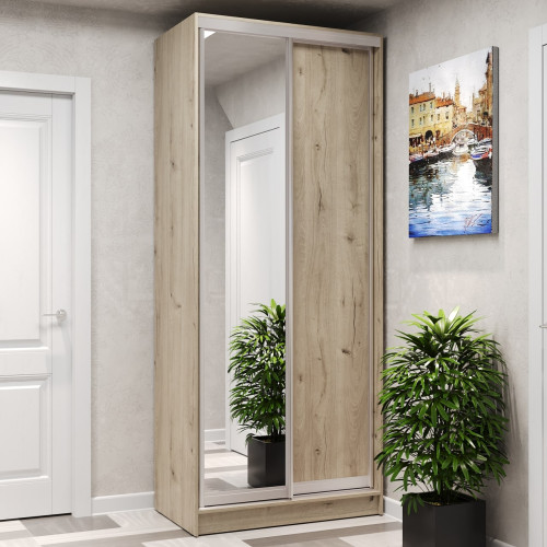 Шафа-купе 2-дверна 100x60x240 см Стандарт Дуб Рая