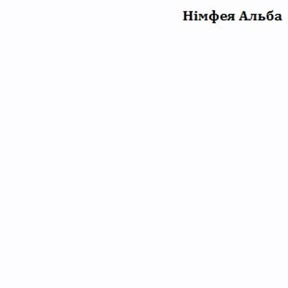 Цвет белый нимфея альба